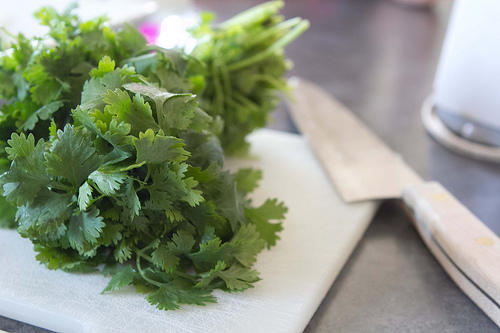 but how do you feel about cilantro?